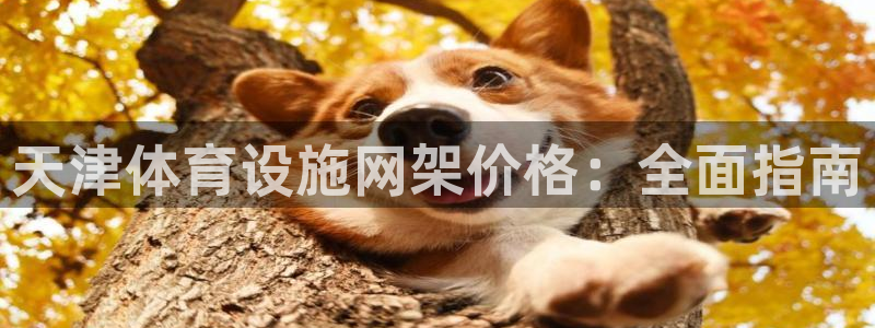 意昂3集团官网首页：天津体育设施网架价格：全面指南