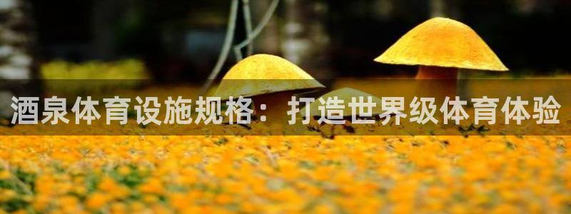 意昂体育3联系电话：酒泉体育设施规格：打造世界级体育