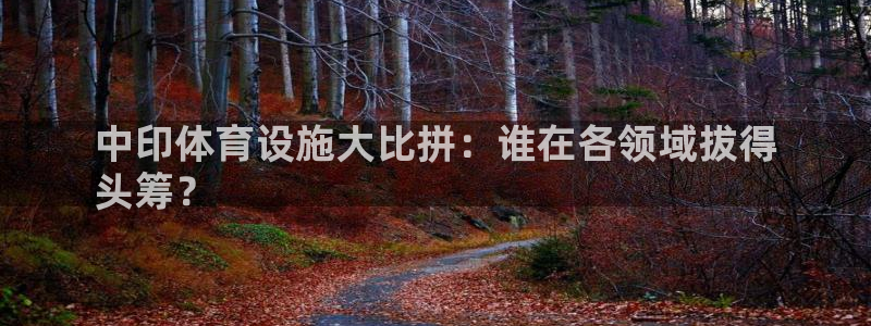 意昂体育3招商电话号码：中印体育设施大比拼：谁在各领