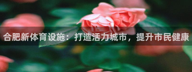 意昂3官方：合肥新体育设施：打造活力城市，提升市民健
