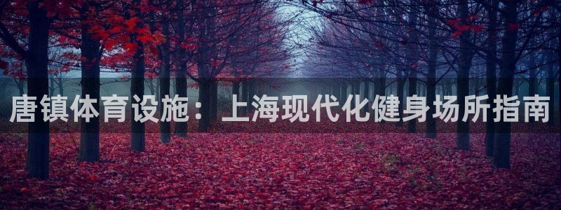 意昂体育3联系电话：唐镇体育设施：上海现代化健身场所