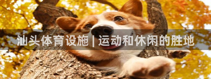 意昂体育3招商电话号码是多少号：汕头体育设施 | 运