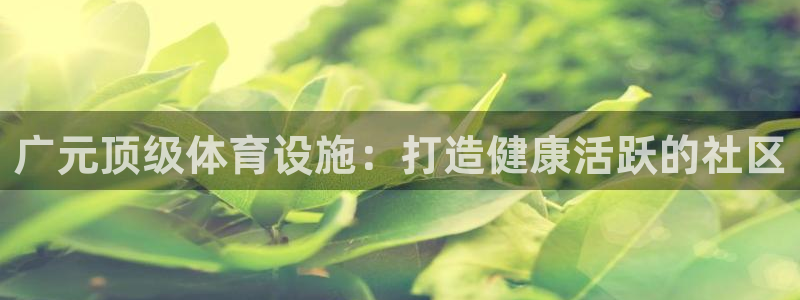 德国意昂3集团：广元顶级体育设施：打造健康活跃的社区