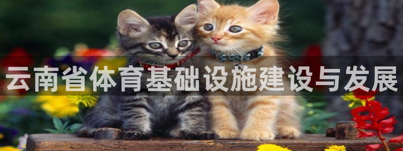 意昂3官方：云南省体育基础设施建设与发展