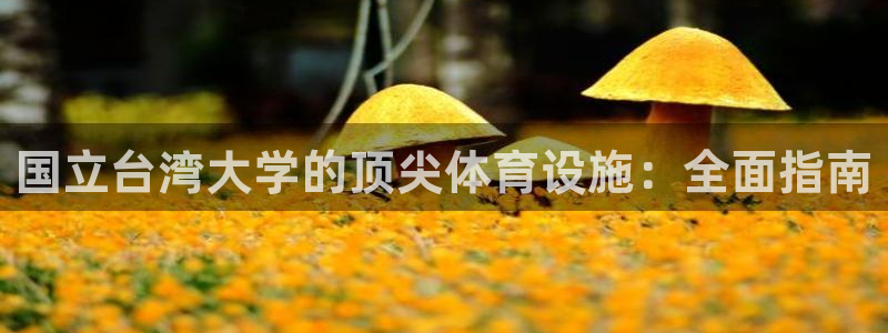意昂3科技：国立台湾大学的顶尖体育设施：全面指南