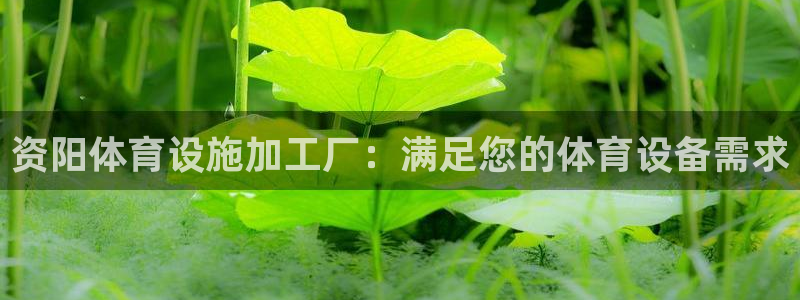 意昂体育3招商电话地址是多少：资阳体育设施加工厂：满
