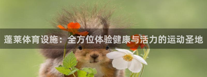 意昂3娱乐平台：蓬莱体育设施：全方位体验健康与活力的