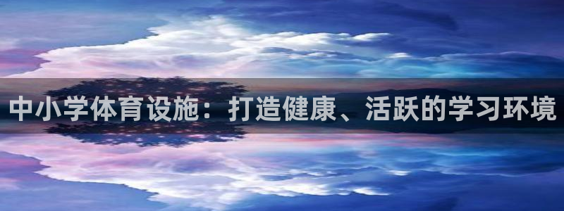 意昂体育3平台APP：中小学体育设施：打造健康、活跃
