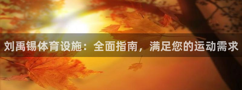 意昂3集团官网网址：刘禹锡体育设施：全面指南，满足您