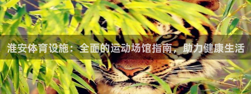 意昂体育3平台是正规平台吗知乎：淮安体育设施：全面的