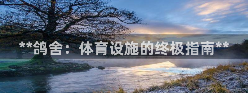 意昂3代理：**鸽舍：体育设施的终极指南**