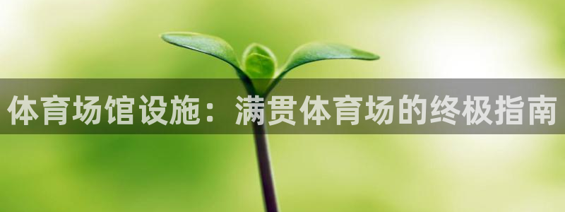 意昂3五金厂：体育场馆设施：满贯体育场的终极指南