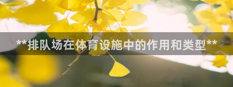 意昂体育3平台是正规平台吗安全吗：**排队场在体育设