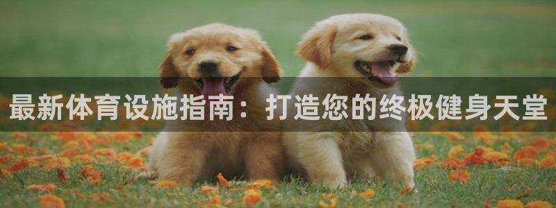 意昂3娱乐首页网站大全：最新体育设施指南：打造您的终
