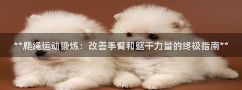 意昂体育3平台：**爬绳运动锻炼：改善手臂和躯干力量