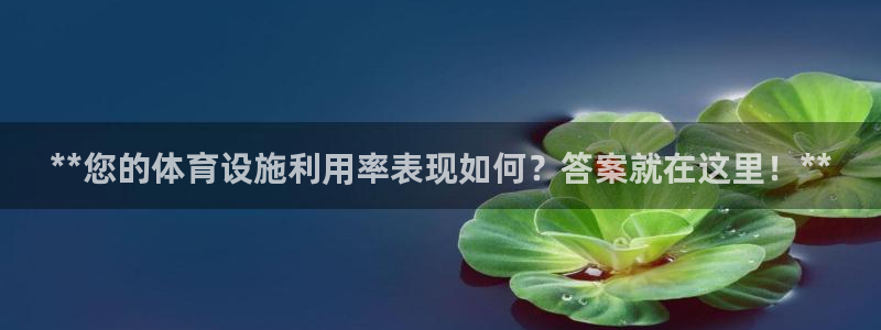 意昂3娱乐平台：**您的体育设施利用率表现如何？答案