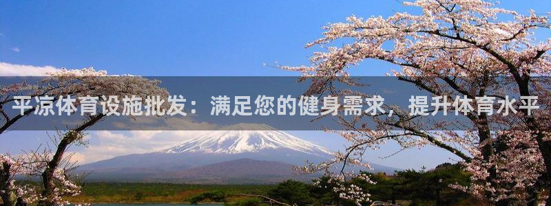 意昂3集团简介：平凉体育设施批发：满足您的健身需求，