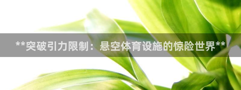 意昂体育3招商电话：**突破引力限制：悬空体育设施的