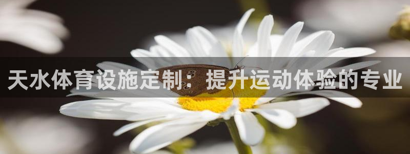 意昂3官方：天水体育设施定制：提升运动体验的专业