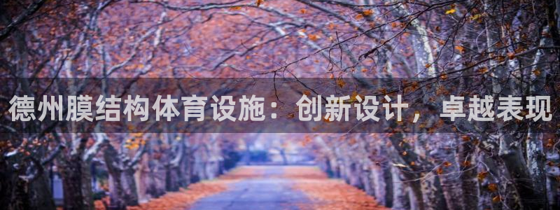 意昂体育3联系电话：德州膜结构体育设施：创新设计，卓