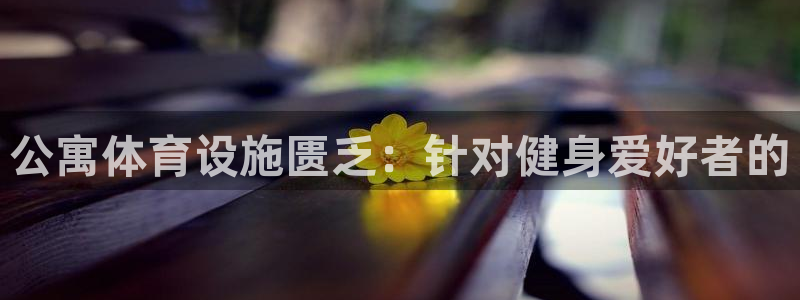 意昂3集团简介：公寓体育设施匮乏：针对健身爱好者的