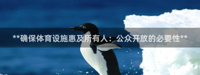 意昂体育3招商电话号码：**确保体育设施惠及所有人：