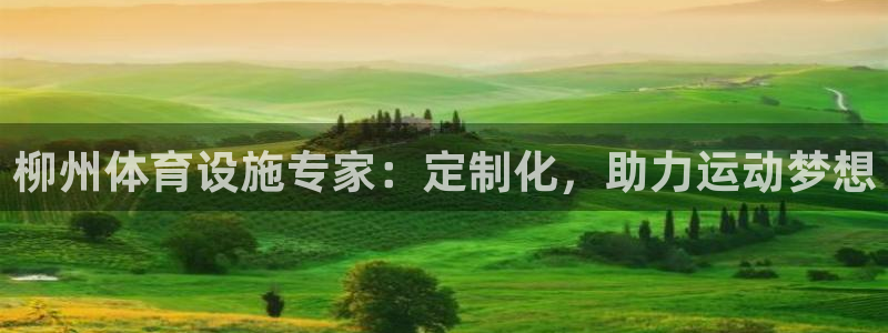 意昂3官方：柳州体育设施专家：定制化，助力运动梦想