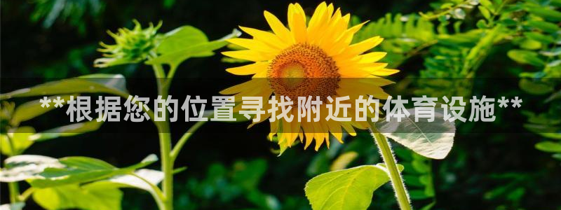 意昂集团官网：**根据您的位置寻找附近的体育设施**