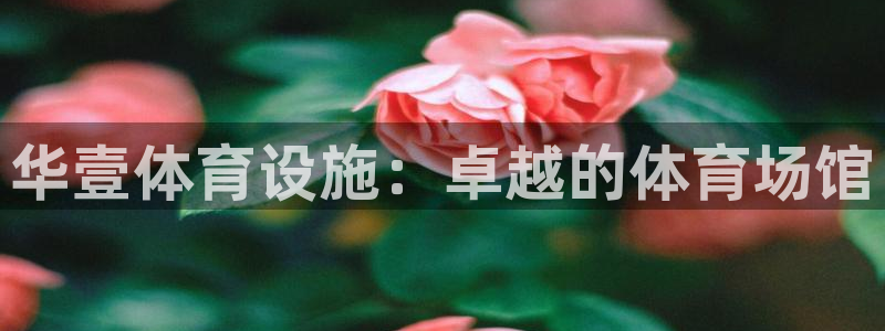 意昂体育3招商电话是多少号码：华壹体育设施：卓越的体