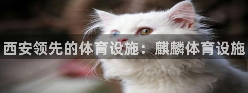意昂体育3平台假的吗是真的吗吗：西安领先的体育设施：