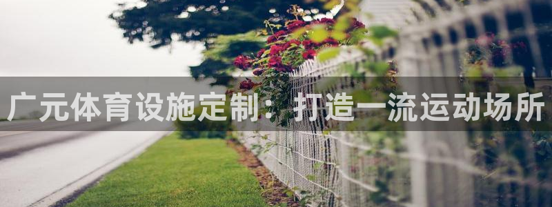 意昂体育3平台注册要钱吗：广元体育设施定制：打造一流