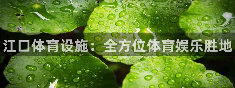 意昂体育3是干嘛的公司：江口体育设施：全方位体育娱乐