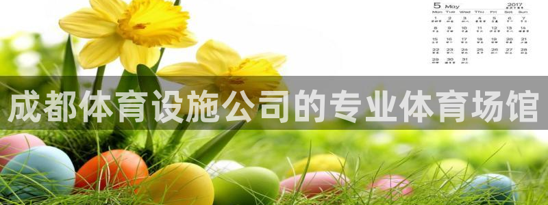 海南意昂体育3：成都体育设施公司的专业体育场馆