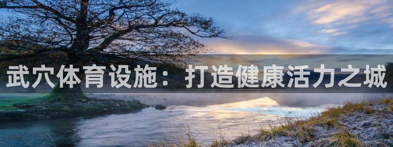 意昂体育3：武穴体育设施：打造健康活力之城