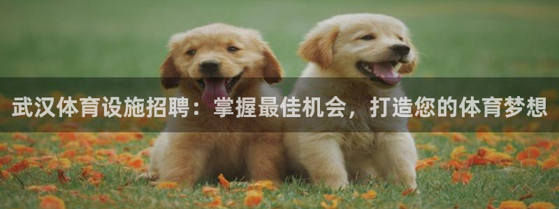 意昂体育3开户：武汉体育设施招聘：掌握最佳机会，打造