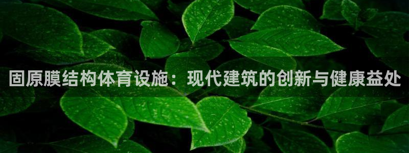 海南意昂体育3发展怎么样：固原膜结构体育设施：现代建