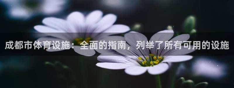 意昂体育3联系电话：成都市体育设施：全面的指南，列举