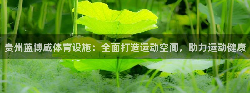 意昂3集团E.ON：贵州蓝博威体育设施：全面打造运动