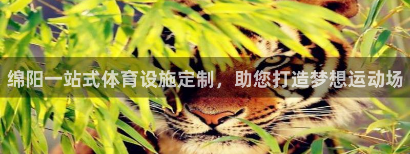 意昂3代理