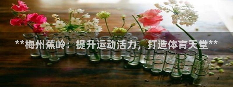 意昂3官网：**梅州蕉岭：提升运动活力，打造体育天堂