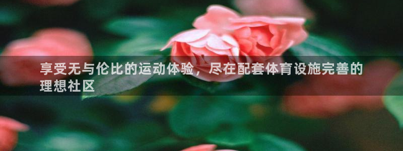 意昂体育3：享受无与伦比的运动体验，尽在配套体育设施