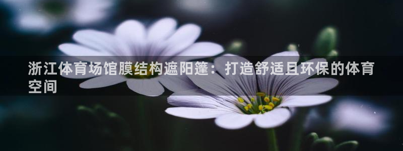 意昂体育3平台注册流程视频：浙江体育场馆膜结构遮阳篷