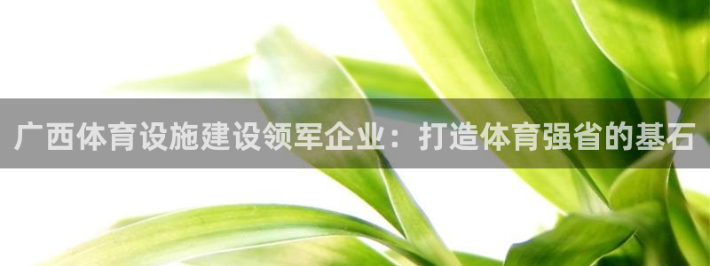 意昂3代理：广西体育设施建设领军企业：打造体育强省的