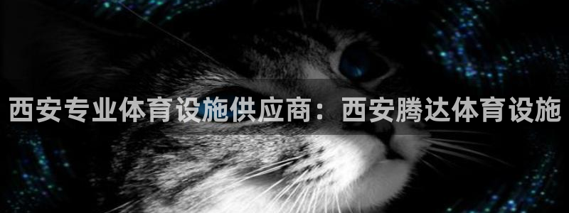 海南意昂体育3：西安专业体育设施供应商：西安腾达体育