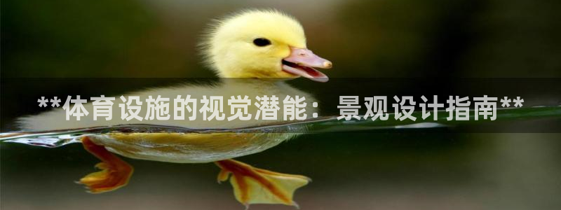 意昂体育3平台注册：**体育设施的视觉潜能：景观设计
