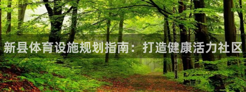 意昂3娱乐是那个系列的台子：新县体育设施规划指南：打