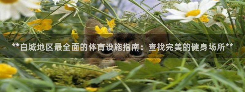 意昂3集团官网网址：**白城地区最全面的体育设施指南
