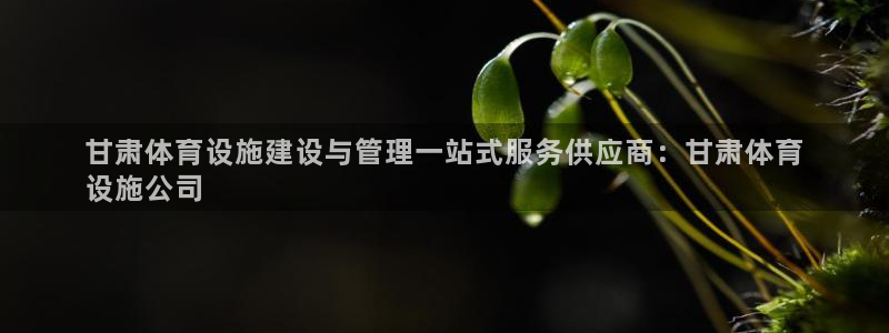 意昂体育3娱乐：甘肃体育设施建设与管理一站式服务供应