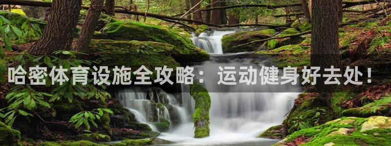 意昂体育3平台注册要钱吗安全吗：哈密体育设施全攻略：