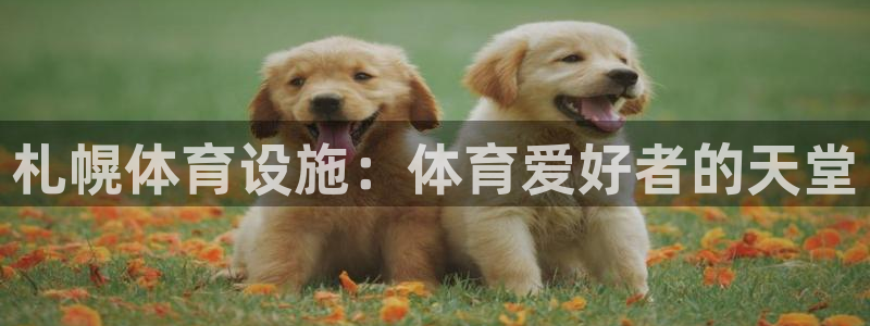 意昂体育3联系电话：札幌体育设施：体育爱好者的天堂